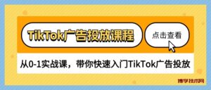 TikTok广告投放课程，从0-1实战课，带你快速入门TikTok广告投放（30节课）-博学技术网