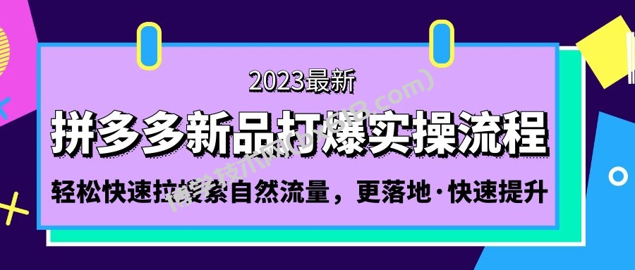 拼多多-新品打爆实操流程：轻松快速拉搜索自然流量，更落地·快速提升!-博学技术网