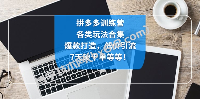 拼多多训练营：各玩法合集，爆款打造，低价引流，7天破千单等等！-博学技术网