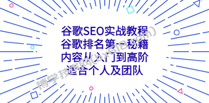 谷歌SEO实战教程：谷歌排名第一秘籍，内容从入门到高阶，适合个人及团队-博学技术网