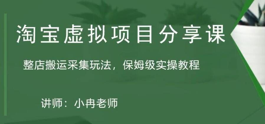 淘宝虚拟整店搬运采集玩法分享课：整店搬运采集玩法，保姆级实操教程-博学技术网