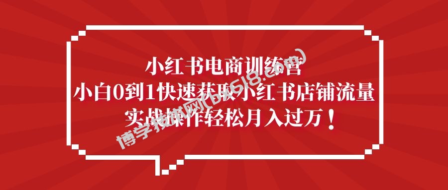 小红书电商训练营，小白0到1快速获取小红书店铺流量，实战操作月入过万-博学技术网