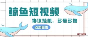 单号300+鲸鱼短视频协议全网首发 多号无限做号独家项目打金(多号协议+教程)-博学技术网