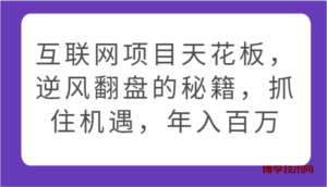 互联网项目天花板，逆风翻盘的秘籍，抓住机遇，年入百万-博学技术网