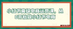 小红书高级电商运营课，从0开始做小红书电商-博学技术网