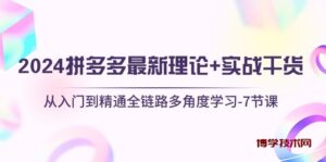 （10816期）2024拼多多 最新理论+实战干货，从入门到精通全链路多角度学习-7节课-博学技术网
