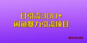 日引流300+闲鱼暴力引流项目-博学技术网