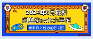 （10831期）2024年6月最新闲鱼卖switch游戏手柄，新手月入过万的第一个好项目-博学技术网