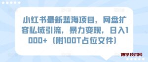 小红书最新蓝海项目，网盘扩容私域引流，暴力变现，日入1000+（附100T占位文件）-博学技术网
