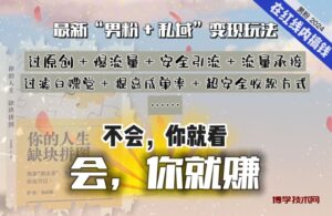 2024，“男粉+私域”还是最耐造、最赚、最轻松、最愉快的变现方式-博学技术网
