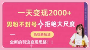 一天收款2000元，男粉不封号拒绝大尺度-色粉全新的变现方法-博学技术网