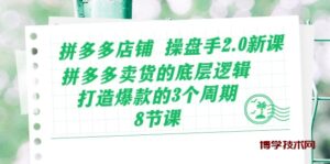 拼多多店铺操盘手2.0新课，拼多多卖货的底层逻辑，打造爆款的3个周期（8节）-博学技术网