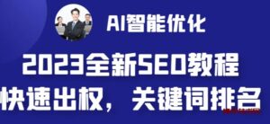 2023最新网站AI智能优化SEO教程，简单快速出权重，AI自动写文章+AI绘画配图-博学技术网