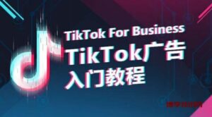 TikTok广告入门教程，从0到1掌握TikTok投放的全流程-博学技术网