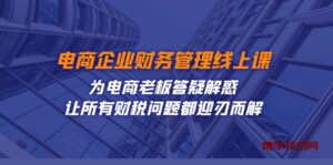 电商企业-财务管理线上课：为电商老板答疑解惑-让所有财税问题都迎刃而解-博学技术网