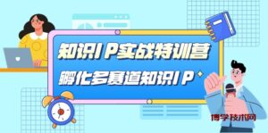 知识IP实战特训营，​孵化-多赛道知识IP（33节课）-博学技术网