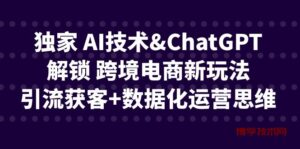 独家 AI技术&ChatGPT解锁 跨境电商新玩法，引流获客+数据化运营思维-博学技术网