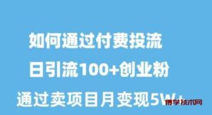 （10189期）如何通过付费投流日引流100+创业粉月变现5W+-博学技术网