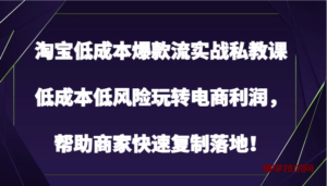 淘宝低成本爆款流实战私教课，低成本低风险玩转电商利润，帮助商家快速复制落地！-博学技术网
