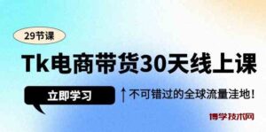 （9463期）Tk电商带货30天线上课，不可错过的全球流量洼地（29节课）-博学技术网