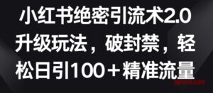 小红书绝密引流术2.0升级玩法，破封禁，轻松日引100+精准流量-博学技术网