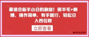 最适合新手小白的副业！薅羊毛+躺赚，操作简单，有手就行，轻松日入四位数-博学技术网