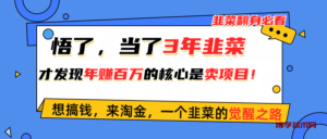 （10759期）悟了，当了3年韭菜，才发现网赚圈年赚100万的核心是卖项目，含泪分享！-博学技术网