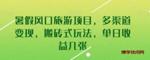 暑假风口旅游项目，多渠道变现，搬砖式玩法，单日收益几张-博学技术网