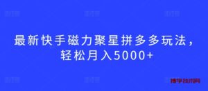 最新快手磁力聚星拼多多玩法，轻松月入5000+-博学技术网