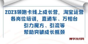2023领跑·卡 线上成长营 淘宝运营各岗位培训 直通车 万相台 引力魔方 引流-博学技术网