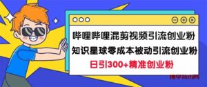 哔哩哔哩混剪视频引流创业粉日引300+知识星球零成本被动引流创业粉一天300+-博学技术网