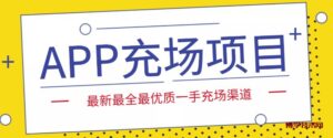 外面收费9800的APP充场项目，实操一天收入800+个人和工作室都可以做-博学技术网