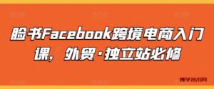 脸书Facebook跨境电商入门课，外贸·独立站必修-博学技术网