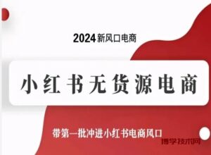 2024新风口电商，小红书无货源电商，带第一批冲进小红书电商风口-博学技术网