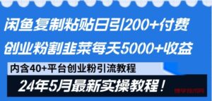 闲鱼复制粘贴日引200+付费创业粉，24年5月最新方法！割韭菜日稳定5000+收益-博学技术网