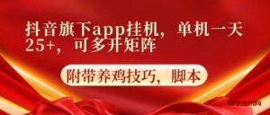 抖音旗下app自动挂机，单机一天收益25+，可多开矩阵-博学技术网