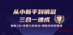 从小新手到销冠 三合一速成：销售3法+非暴力关单法+销售系统挖需课 (27节)-博学技术网