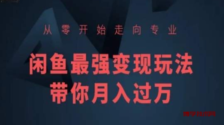 从零开始走向专业，闲鱼最强变现玩法带你月入过万-博学技术网