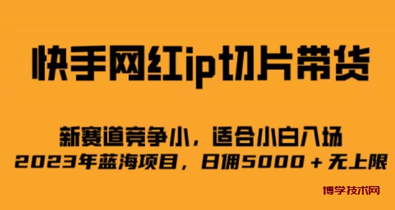 快手网红ip切片新赛道，竞争小事，适合小白 2023蓝海项目-博学技术网