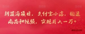 新蓝海项目，支付宝小店，搬运商品和视频，实现月入一万+-博学技术网
