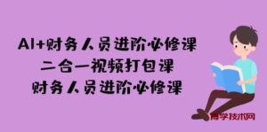 AI + 财务人员进阶必修课二合一视频打包课，财务人员进阶必修课-博学技术网