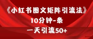 （9538期）《小红书图文矩阵引流法》 10分钟-条 ，一天引流50+-博学技术网