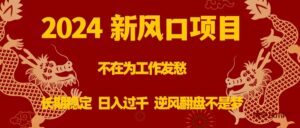 2024新风口项目,不在为工作发愁,长期稳定,日入过千 逆风翻盘不是梦-博学技术网