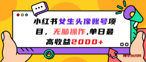 小红书女生头像账号项目，无脑操作“”单日最高收益2000+-博学技术网