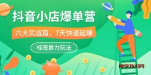 抖音小店爆单营，6大实战篇，7天快速起爆，标签暴力玩法（41节课）-博学技术网