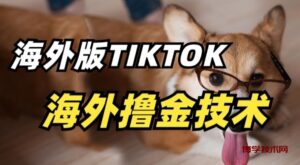 抖音海外版tiktok撸金技术，这个风口行业，赚钱真的不难-博学技术网