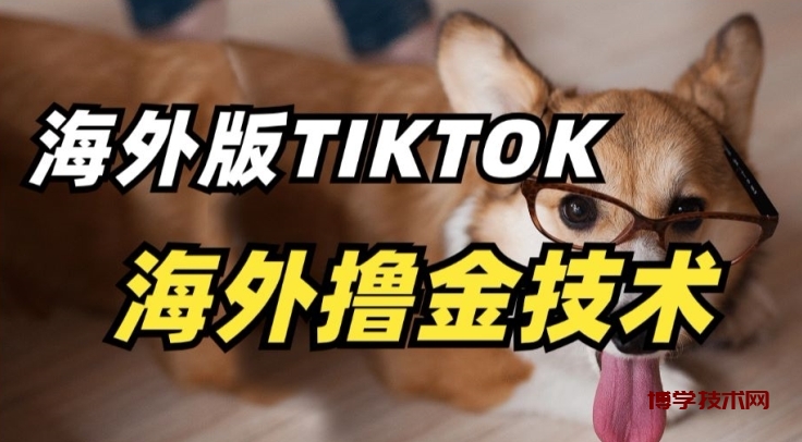 抖音海外版tiktok撸金技术，这个风口行业，赚钱真的不难-博学技术网