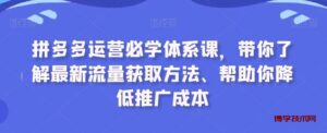 拼多多运营必学体系课，带你了解最新流量获取方法、帮助你降低推广成本-博学技术网