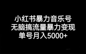 小红书暴力音乐号，无脑搞流量暴力变现，单号月入5000+-博学技术网
