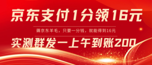 京东支付1分得16元实操到账200-博学技术网